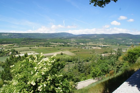 Salon de Provence